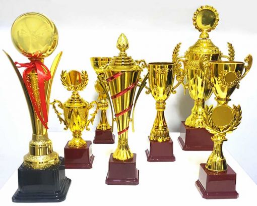 Ödül Kupası, Samsun Ödül Kupası, Bafra Ödül Kupası, Alaçam Ödül Kupası,